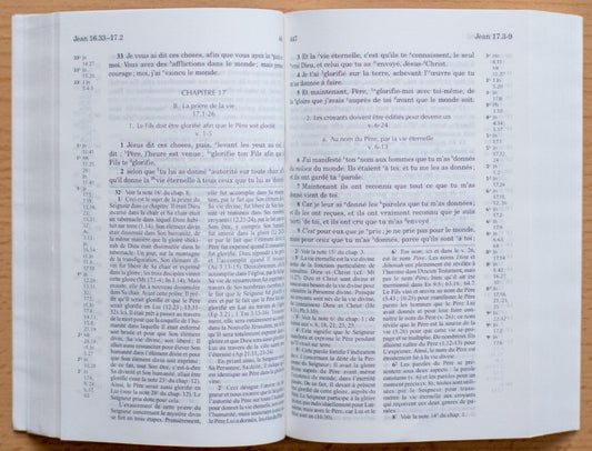 Nouveau Testament : version Recouvrement, Le