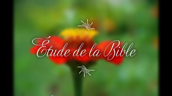 Étude de la Bible