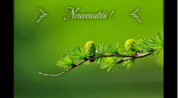 Nouveautés !